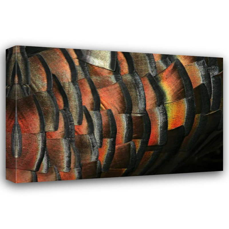 «Red Barrel Studio®» par Morris, art sur toile tendue par Arthur Gallery, Texas, plume de dinde sauvage Hidalgo Co