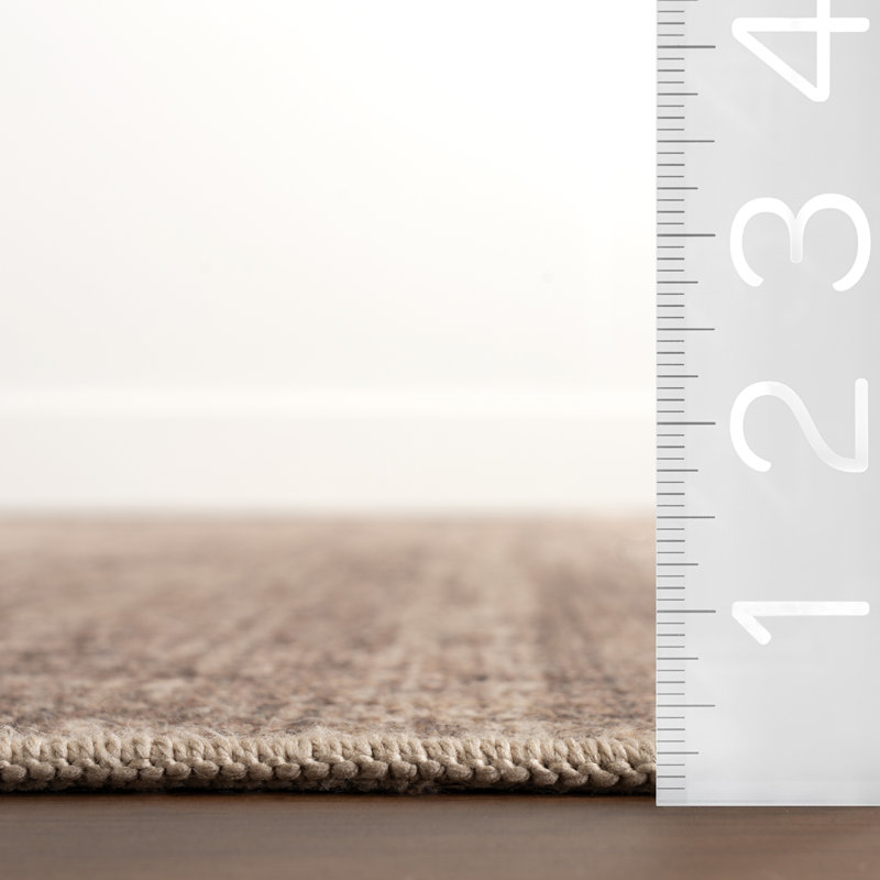 Damira Solid Machine Washable Area Rug, Rectangle 8'6" x 11'6"