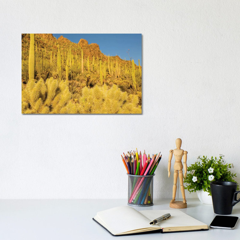 USA, Arizona, Tucson Mountain Park. Sonoran Desert landscape. 1 Piece Wrapped Canvas Wall Art, 20.32cm H x 30.48cm W
