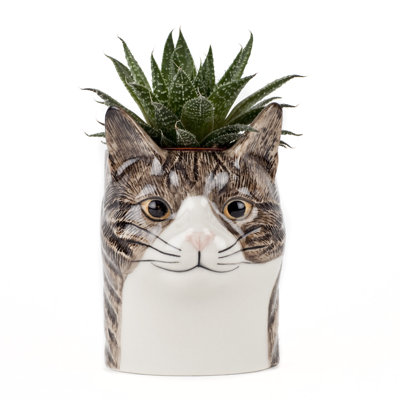 Pencil Pot - Cat - Millie