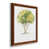 Walnut Framed Paper