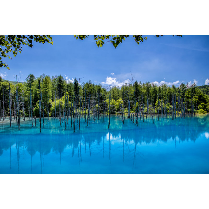 The Blue Pond - Photographie sur toile tendue, L 12 po x H 8 po
