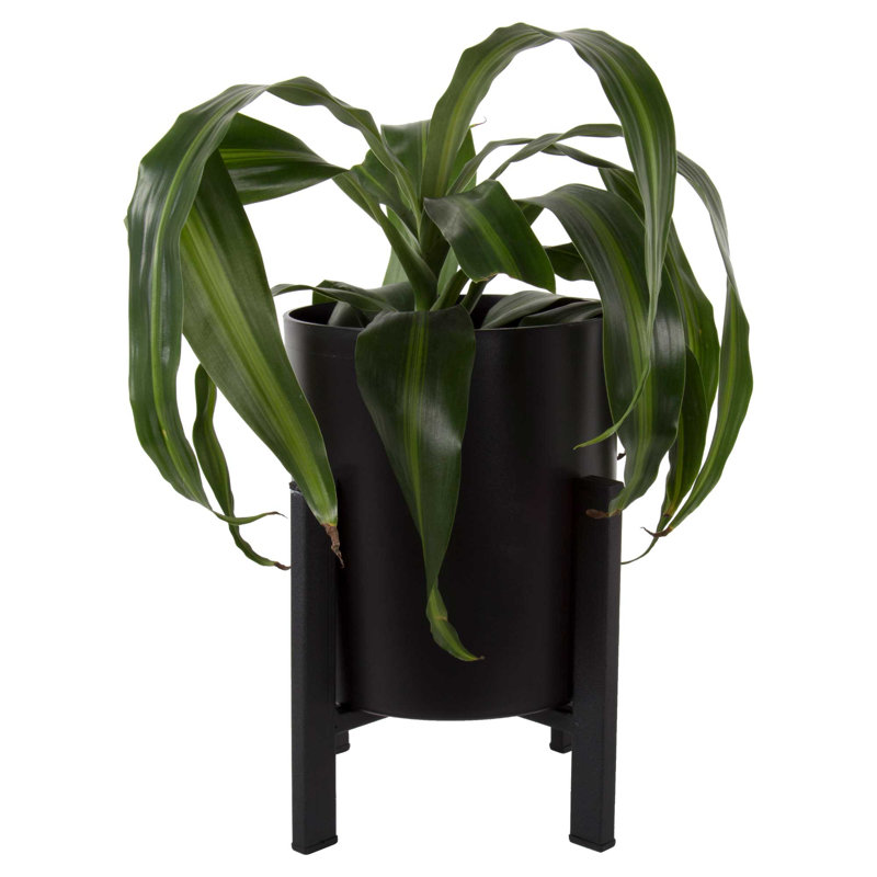 Dammion Planter, Black