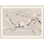 Branch Blossom 1 Print by Claudia Lowry-718314665