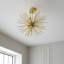 Alexus Ashleigh 6-Light Semi Flush Wall Light