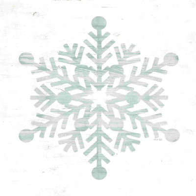 Snowflake Dreams III by Cindy Jacobs - Wrapped Canvas Graphic Art