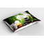 Ensemble de 2 taies décoratives pour spa Ambesonne-99896896