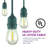 Burroughs  48' Outdoor 15 - Bulb Standard String Light-1336749573