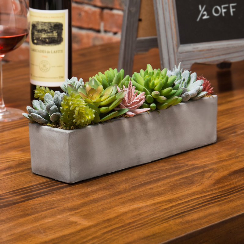 15.5cm Faux Succulent Plant in Cement Pot
