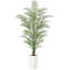 Plant-895383160