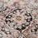 Briawood Oriental Indoor Rug