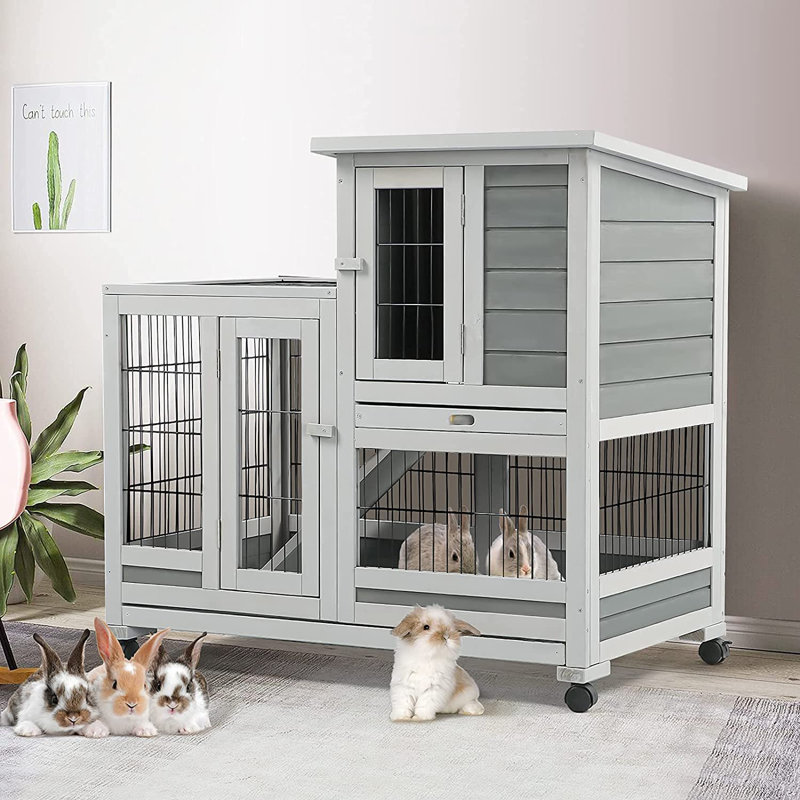Zakhar Rabbit Hutch