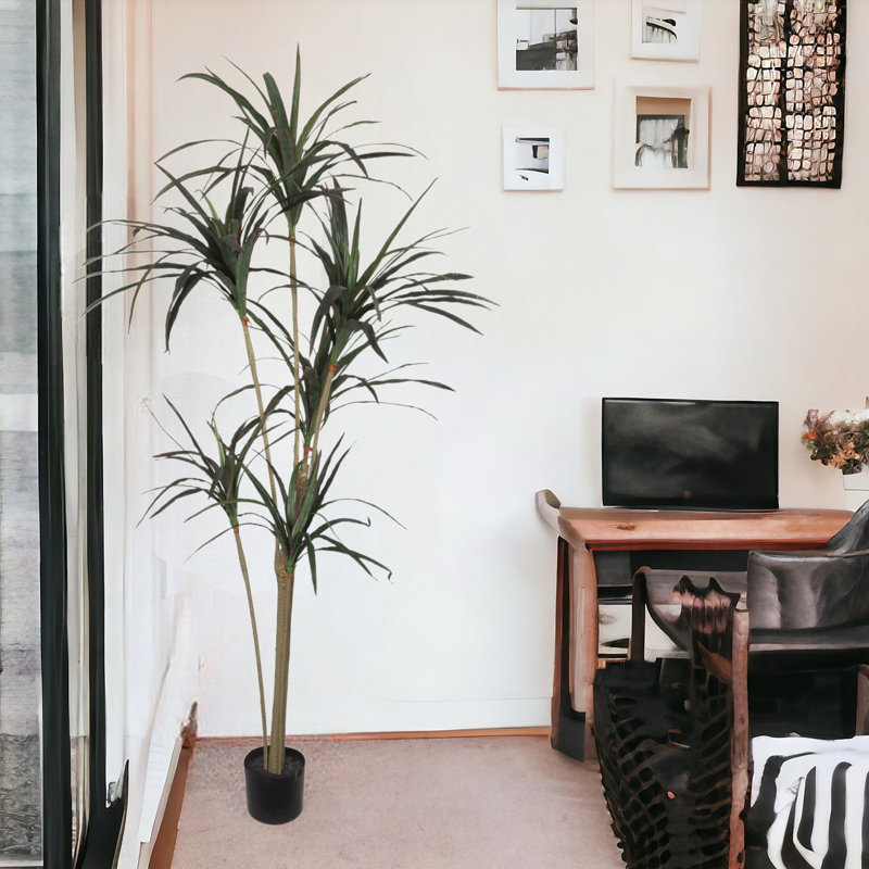 72'' Faux Dracaena Tree in Pot