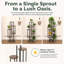 Plant Stand 6 Tier