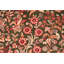 Tapis unique rouge / vert 6 pi x 8 pi 8 po Palazzolo