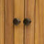 Armoire de patio en bois d'acacia Kyree