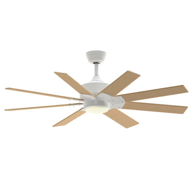Ventilateur de plafond intelligent intérieur / extérieur Levon