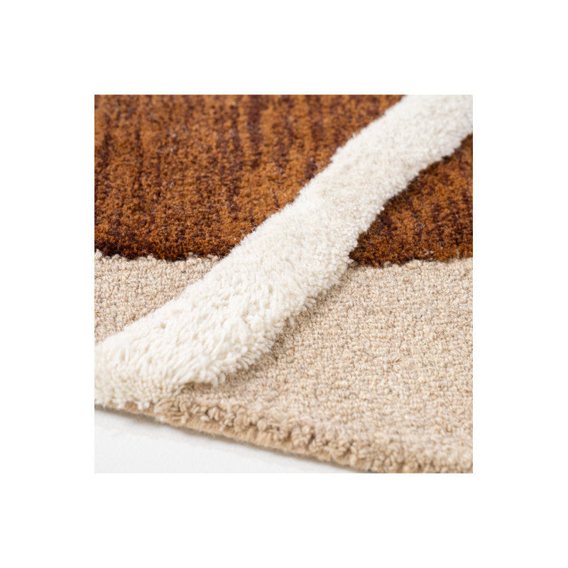 Rug Wool Geometric Area Rug in Brown
