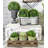 9 " H Faux Succulent Plant