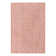 Ramlochan Indoor Rug