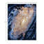 Leonard One-of-a-Kind 8' 2" X 10' 4" Area Rug Navy