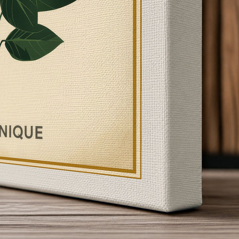 Specimen Botanical - Wrapped Canvas, 24x16 - 61.0 x 40.6 cm, Cream Border
