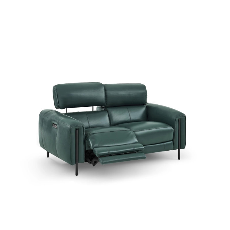 Charm 66'' Leather Reclining Loveseat, Green