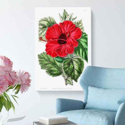 Red Chinese Rose - Wrapped Canvas