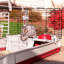 Rabbit Cage-65640383