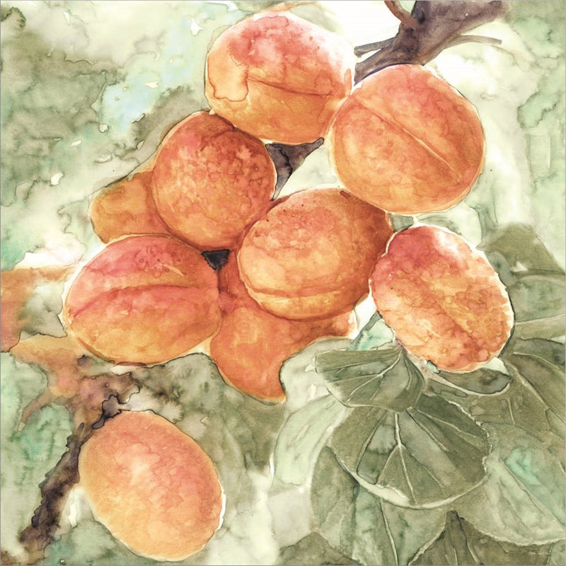 «Peach Branch» par Stellar Design Studio, art mural sur toile