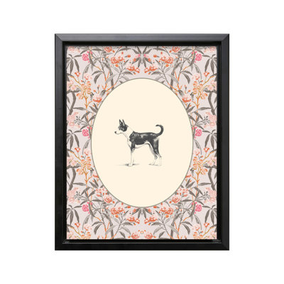 Portrait de Basenji