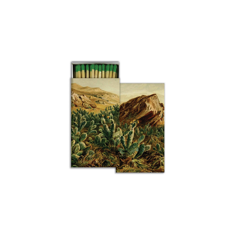 Matches - Cactus figue de barbarie