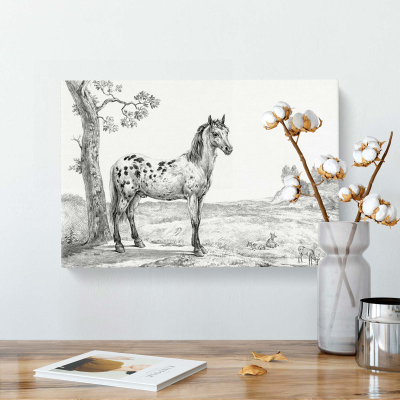 Mottled Horse by Jean Bernard - Wrapped Canvas Drawing - Wrapped Canvas, 40cm H x 60cm W x 3cm D