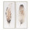 Bari 2-Piece Feather Framed Canvas Wall Art Set