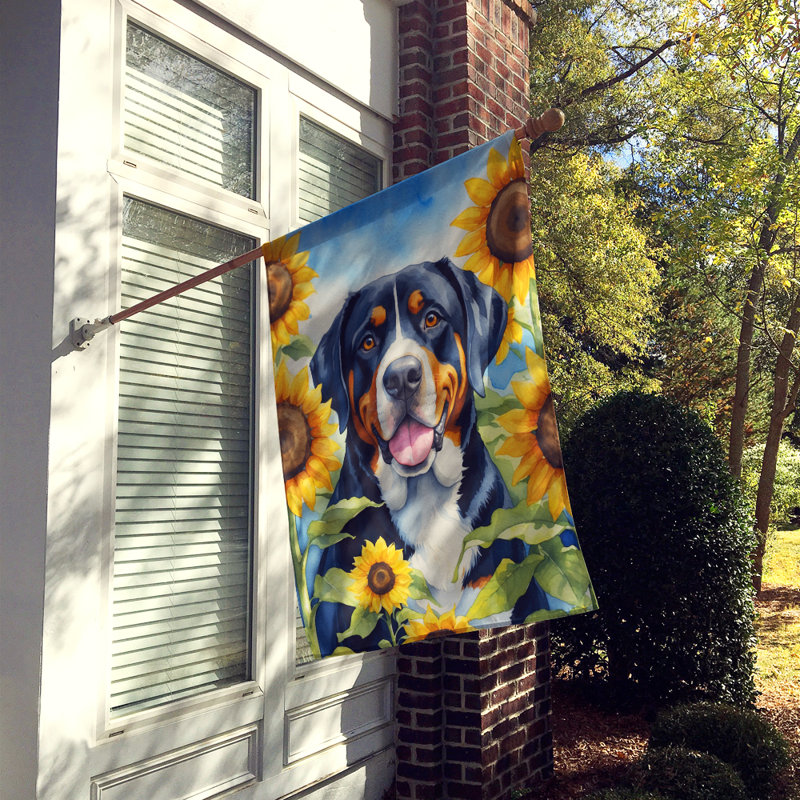 Drapeau de la maison du tournesol Malamute d'Alaska, Grand bouvier suisse