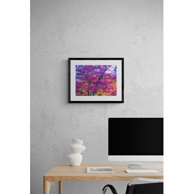 My Fall Fuchsia par Drew Gaffney