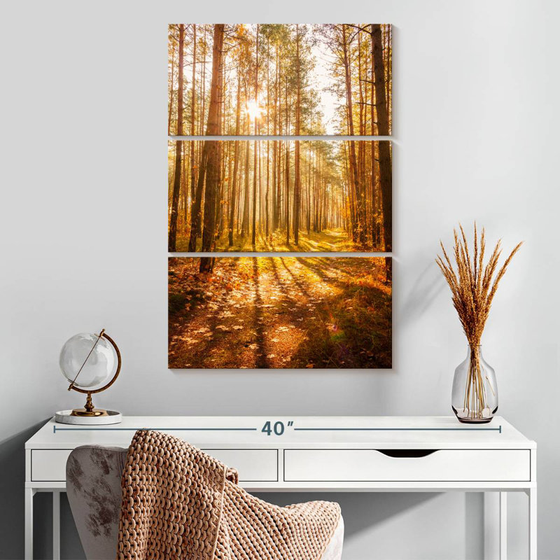 Alvord, forêt d'automne, soleil, H 32 po x l 20 po