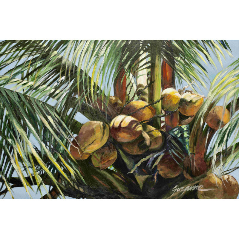 Los Cocos, H 24 po x l 36 po