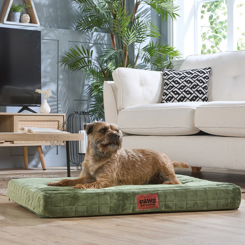 Slumberdown Orthopaedic Firm Support Crate Mattress Pet Bed, 100cm H x 70cm W x 9cm D, Green