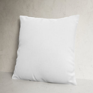 Alwyn Home Daria Soft Hypoallergenic Throw Pillow, White