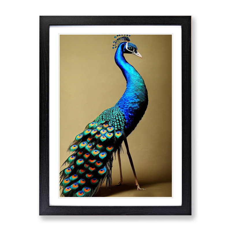 Stunning Peacock - Single Picture Frame Print, Black Framed, 46cm H x 34cm W x 2cm D