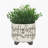S/2 CERAMIC 6/8" SCRIBBLE FOOTED PLANTER, BEIGE