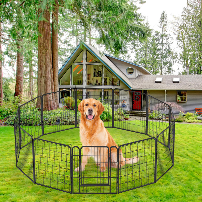 Panel Iron Exercise Pen With Door, 31.7" H x 105" W