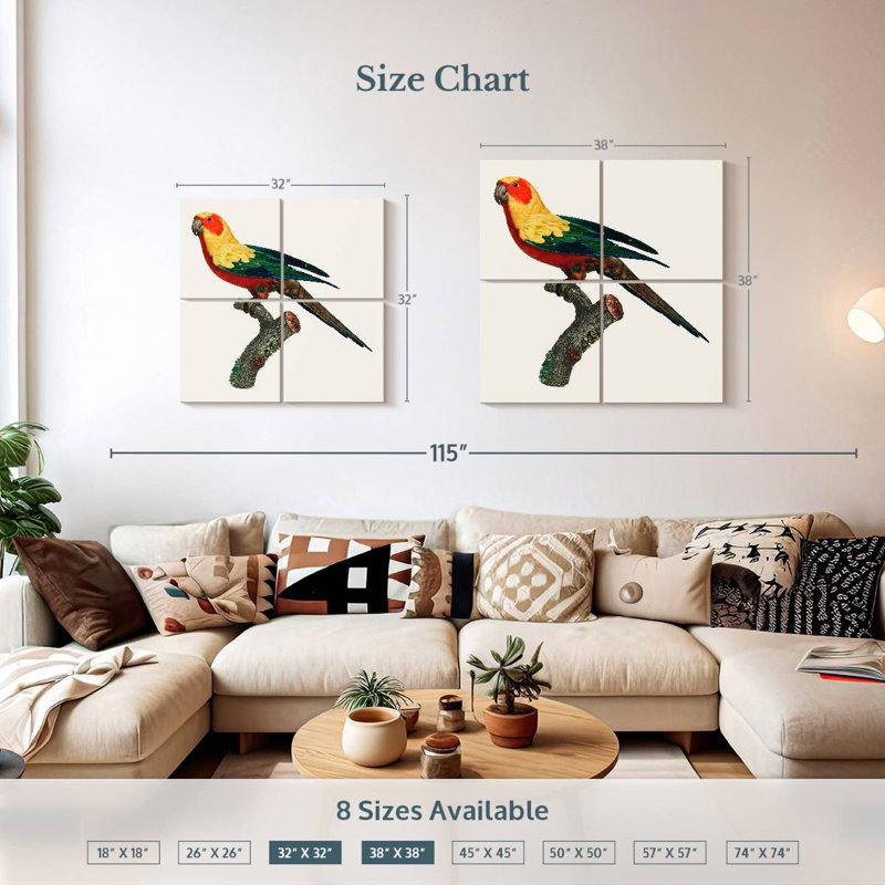 Brampt Sun Conure, 32" H x 32" W