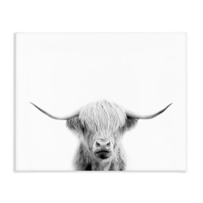Portrait d'une vache écossaise, conception par Leah Straatsma