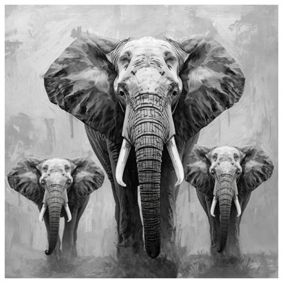 Trois couvertures d'éléphants d'Afrique