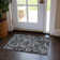 Fareham Washable Paisley Indoor / Outdoor Rug