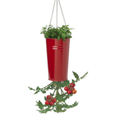 Kile Metal Hanging Planter
