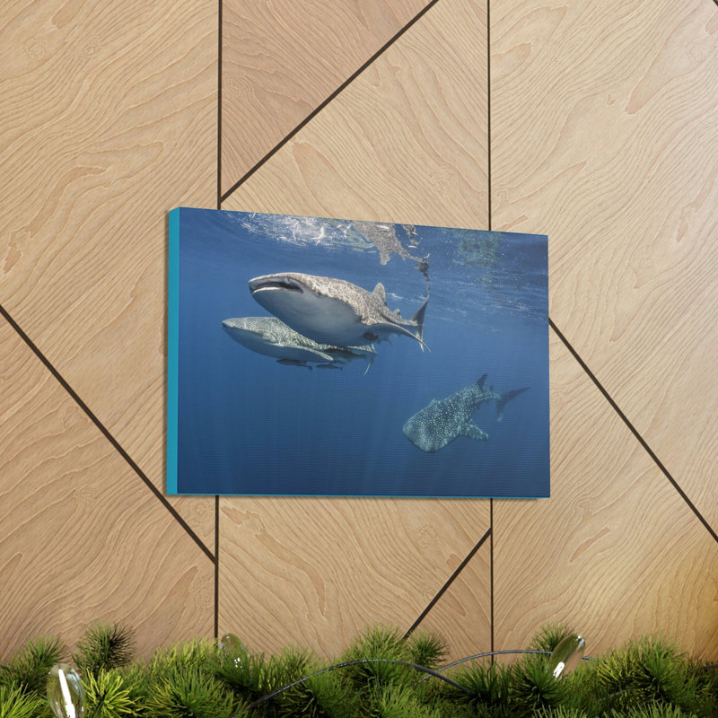 Whale Shark Group Whale Shark Troop Print Animal Wall Art, 12" H x 18" W