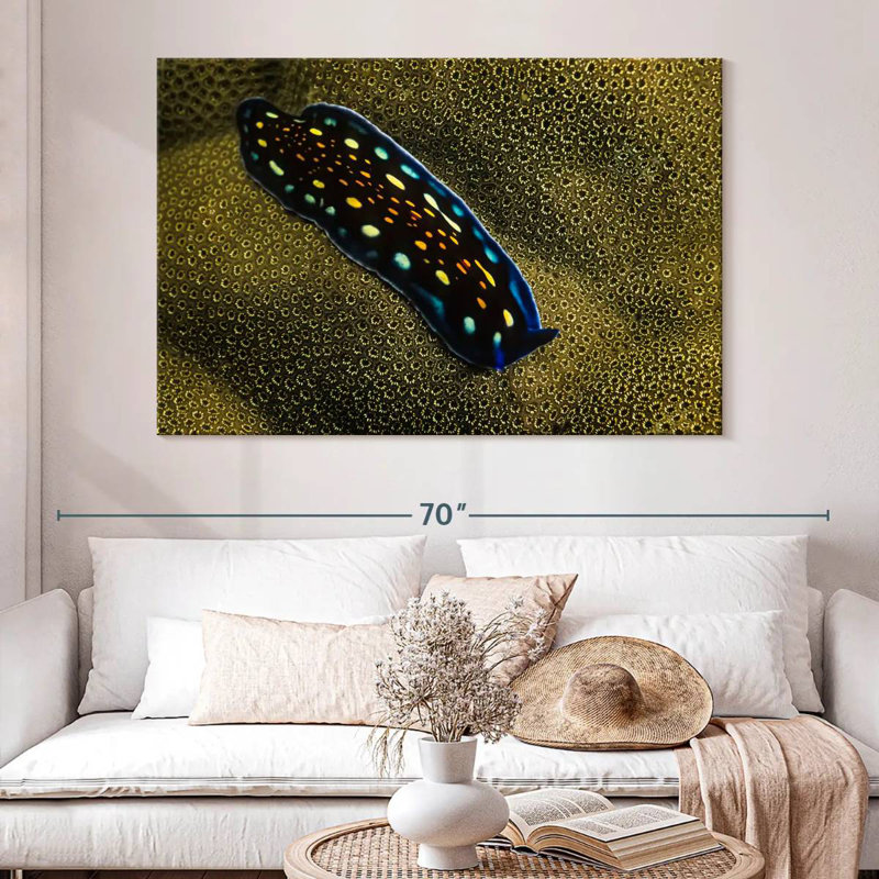Linda's Flatworm